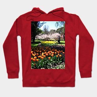 Tulip Time in Canberra Australia 9 P Hoodie